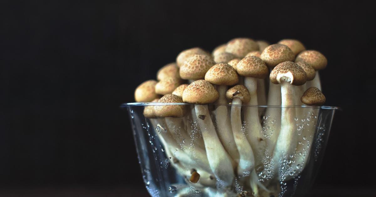Thiel Capital's Jason Camm Discusses Joining Psychedelics Company ATAI Following $24M Raise