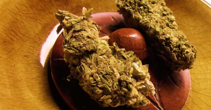 ManifestSeven Kickstarts B2C Efforts With Acquisition Of Orange County Dispensary Haven