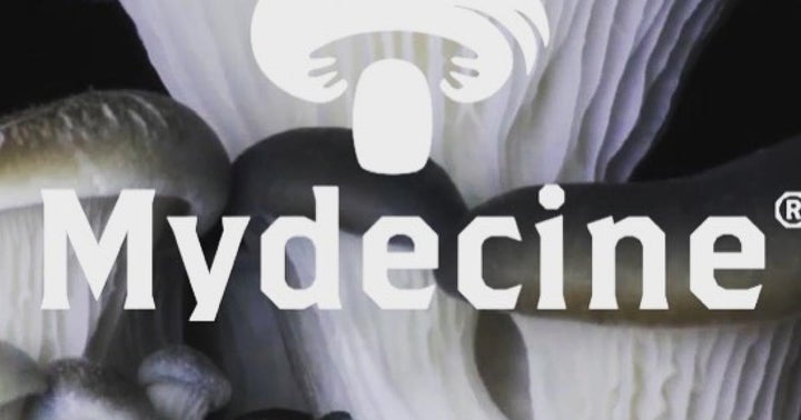 NewLeaf Brands Taps Mydecine Founder To Be COO, Oversee Psychedelics