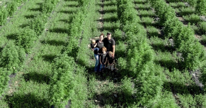 Family-Run Nightshade Farm Seeks Strategic Partner As MSOs Scoop Up NY Cannabis Licenses