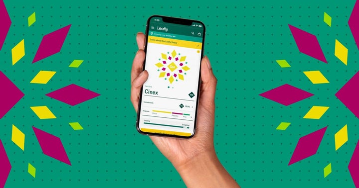 Beyond Indica And Sativa: Leafly Launches Graphic Platform For Identifying Cannabis Strains Beyond Indica And Sativa: Leafly Launches Graphic Platform For Identifying Cannabis Strains