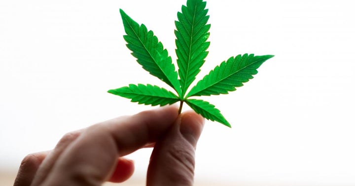 Cannabis Dispensary Roundup: Jushi, Cresco, Trulieve Expand Retail Footprint In PA, Canada House Wellness Opens Shop In Ontario Cannabis Dispensary Roundup: Jushi, Cresco, Trulieve Expand Retail Footprint In PA, Canada House Wellness Opens Shop In Ontario