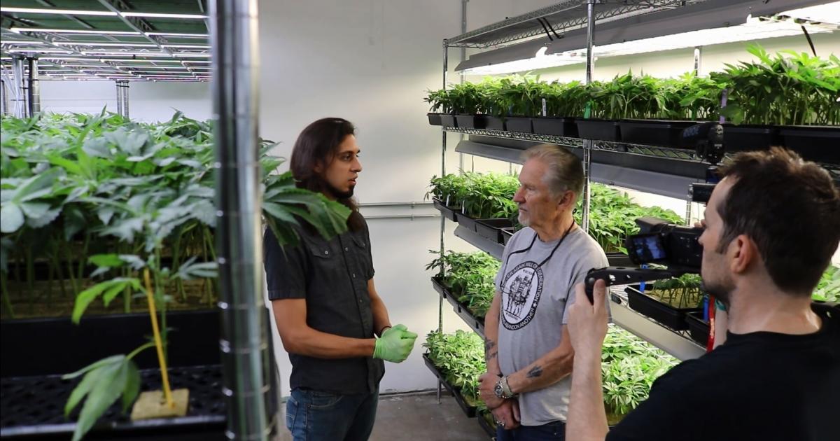 If You Want Cannabis Legalized: Help Vets Grow