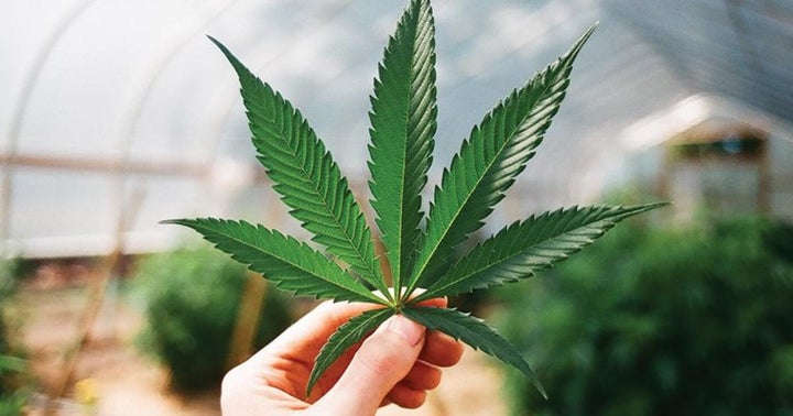 US Legal Cannabis Market Could Hover $41B By 2025, Data Shows