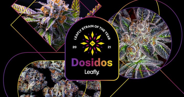 Leafly Unveils 2021 Cannabis Strain Of The Year, Praised By Medical & Recreational Consumers