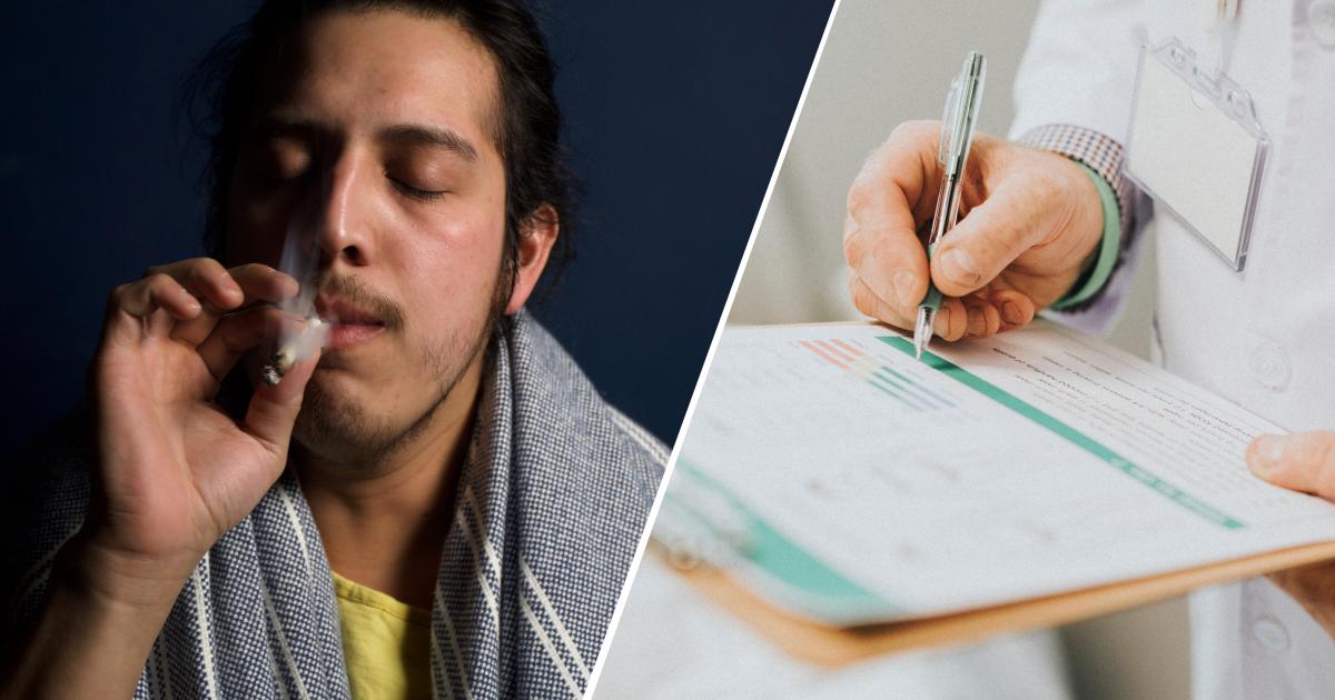 Are Most Adult Cannabis Consumers Actually Medical Users?