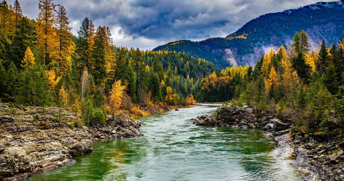 Montana Embraces Recreational Marijuana, S.D. Legalizes Both Medical And Adult-Use