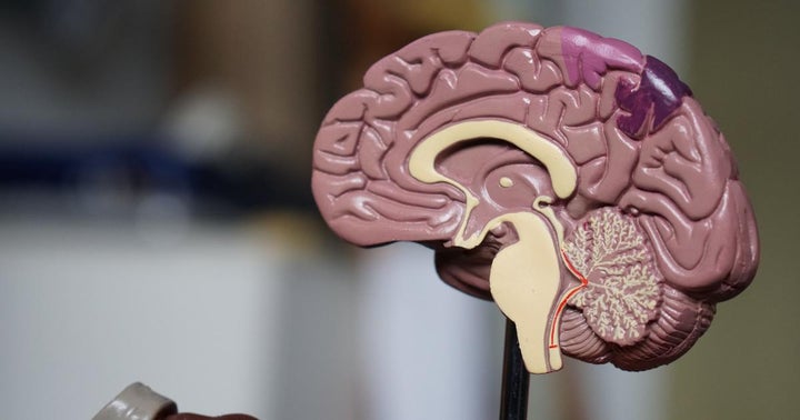 Bruce Linton Talks Psychedelics Investments, Microdosing And LSD: 'The Therapeutic Potential Of Psychedelics Is Greater Than Cannabinoids'