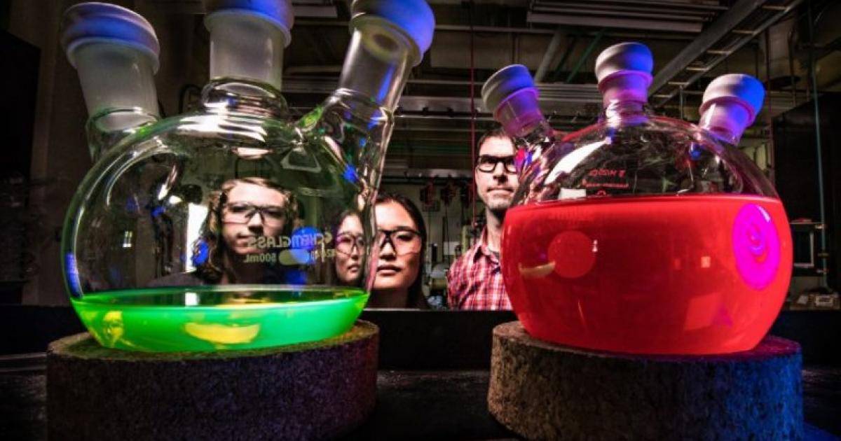 Why Every Cannabis Company Needs A Scientific Advisory Board