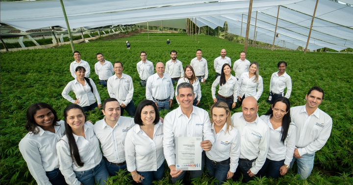 PharmaCielo Commences Cannabis Cultivation Outsourcing Program In Colombia