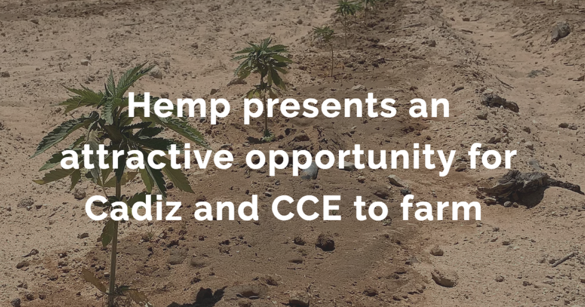 An Industry First: Nasdaq-Traded US Company Cadiz Gets Into The Hemp Business