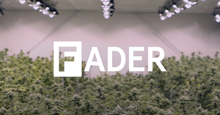Exclusive: The FADER Launches Its Own Weed Brand Ahead Of Its Famous Annual SXSW Party