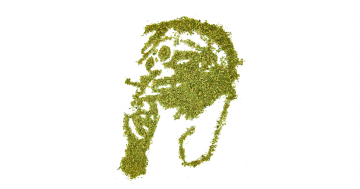 All About Wiz Khalifa's Many, Many Cannabis Ventures
