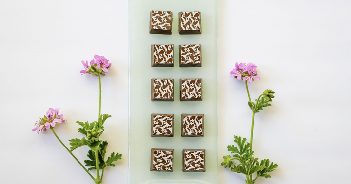 New Cannabis Products: CBD Chocolate, Sports Recovery And Wellness Drinks