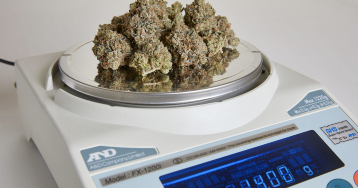 How Many Grams Are In An Eighth? -- And Other Useful Cannabis Conversions