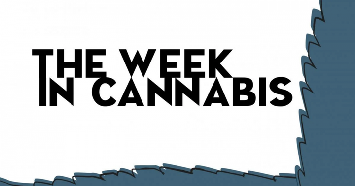 This Week In Cannabis Tilray Aphria Sundial Go For A Ride Etfs Pop With Cnbs Advancing 99 Benzinga