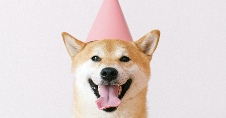 Baby Doge Defies All Bear Market Odds: Coin Price Is Up 82% In A Day