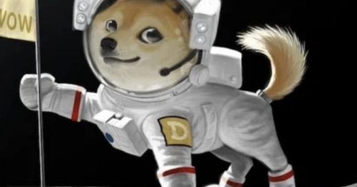 Canadian Company Says It S Sending Satellite To Moon On Spacex Rocket In Dogecoin Fueled Deal Benzinga