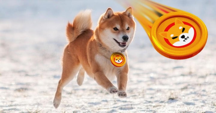 Shiba Inu Becomes The Most Popular Crypto In 2021, Surpassing Dogecoin And Bitcoin On CoinMarketCap