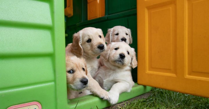 Why This Utah Man Is Offering 10% Discount To Anyone Willing To Buy His House For Dogecoin Why This Utah Man Is Offering 10% Discount To Anyone Willing To Buy His House For Dogecoin