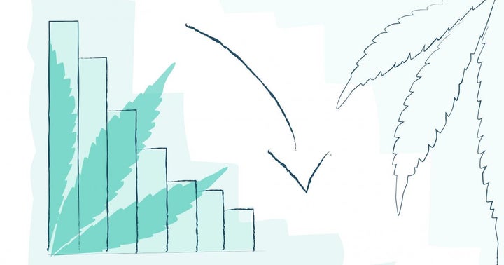 Cannabis Stock Gainers And Losers From Feb. 27, 2020