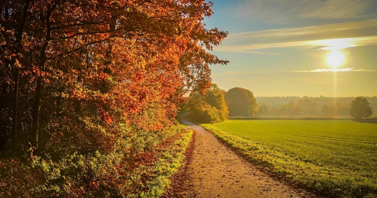 4 Sector ETFs For September, Including A Pair Of Surprises