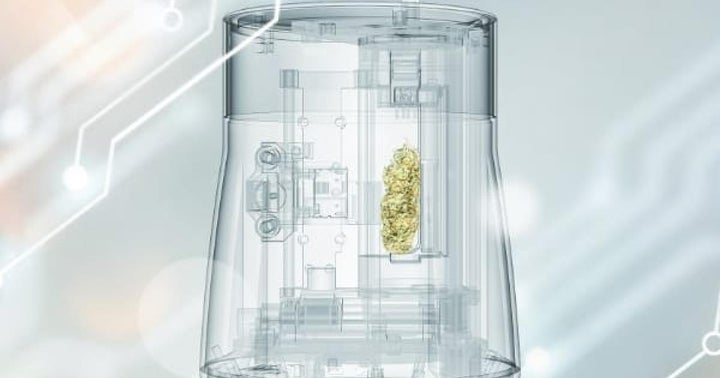 Law Enforcement Struggles To Differentiate Weed From Hemp: This 50-Year-Old Technology Might Be The Solution
