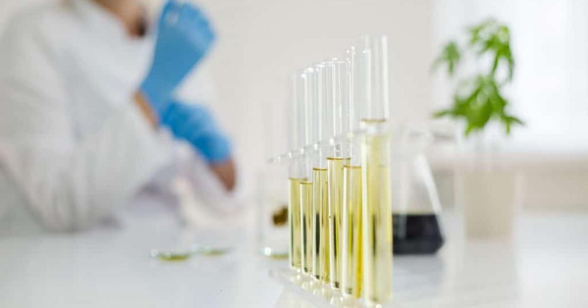 CBD And Coronavirus: What You Need To Know About Cannabidiol And COVID-19