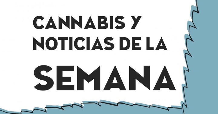 ESPAÑOL • Cannabis y Noticias de la Semana: Acciones en Rojo, Canopy Growth, Acreage Holdings, Aurora Cannabis, y Más