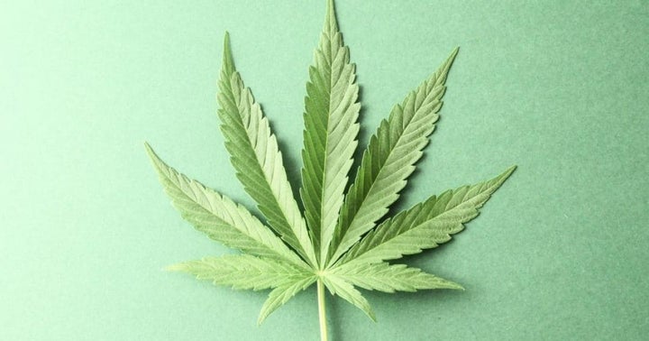 The 5 Biggest Cannabis Business Scandals: From CannTrust To PotNetworks