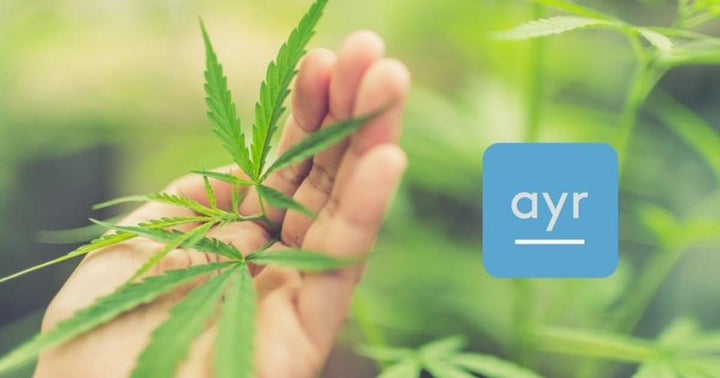 Ayr Wellness Cannabis Secures Acquisition Of New Jersey's Garden State Dispensary In $101M Deal