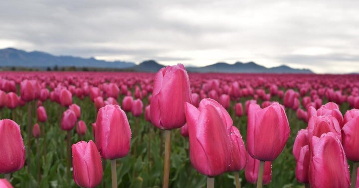 Does 'Sell In May And Go Away' Actually Work? Does 'Sell In May And Go Away' Actually Work?