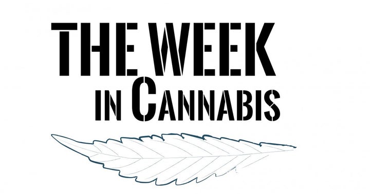 The Week In Cannabis: Stock Volatility, NJ, $1.9B IPO, Policy Moves, Financings, And More