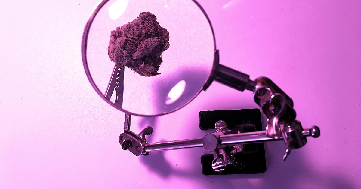THCV: The Rare Cannabinoid That'll Conquer The Industry