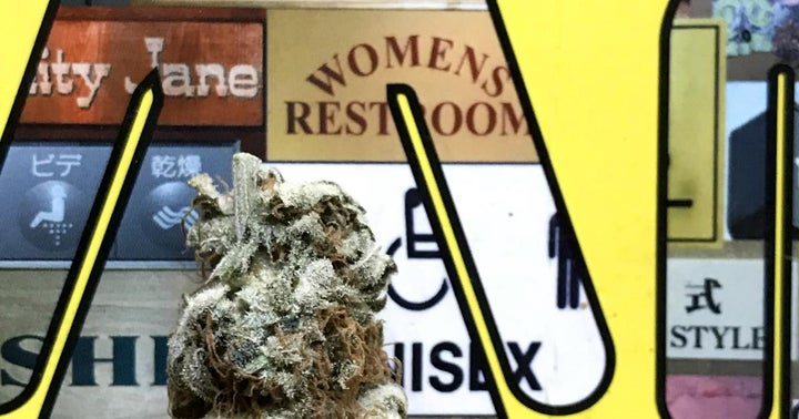 Vertical Brands' New President Cynthia Cleveland Discusses The Role Of Women In Cannabis