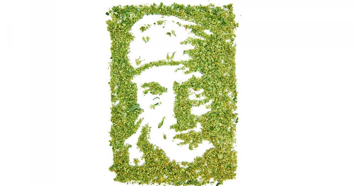 Willie Nelson Is The Hero That The Cannabis Industry Needs