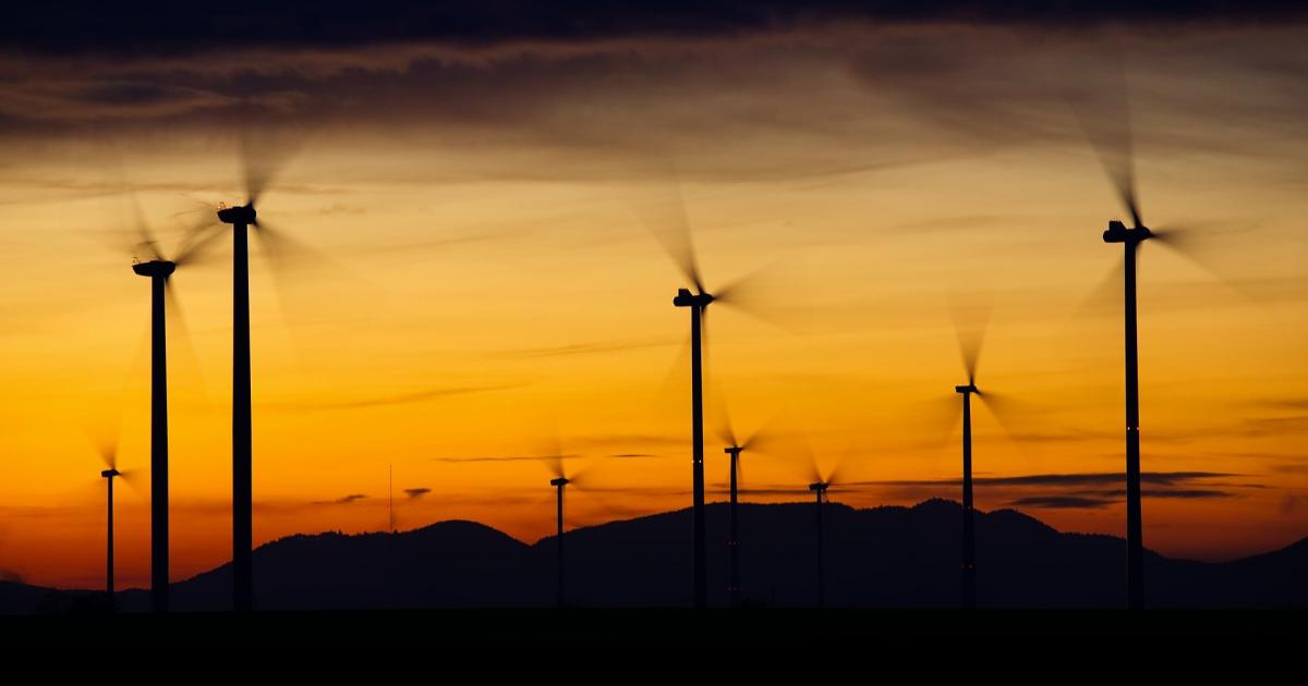 After The Hottest Year On Record, 3 Stock Ideas That Are Green For The Planet