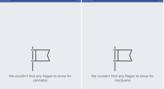 Facebook And Instagram's Anti-Weed Stance Frustrates Cannabis Entrepreneurs