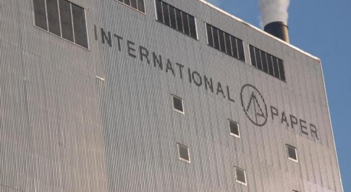 Analyst: Investors Should 'Applaud' International Paper For Ending Proposed M&A Deal